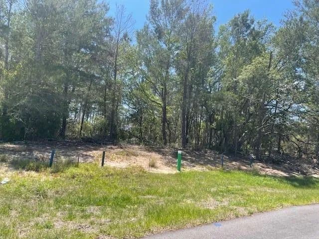 Vacant Land in Poinciana - Poinciana, Florida, 34759