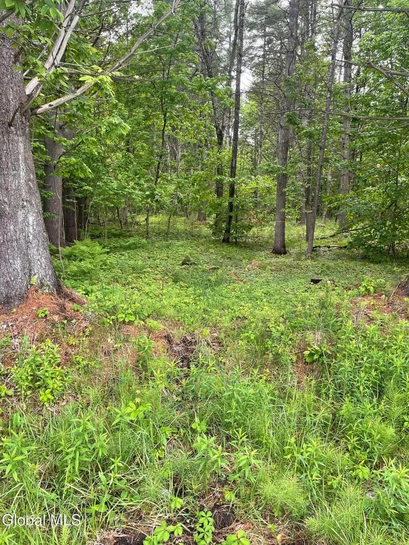 Property from 2447 NY-28 - KW - Johnsburg, New York, 12886