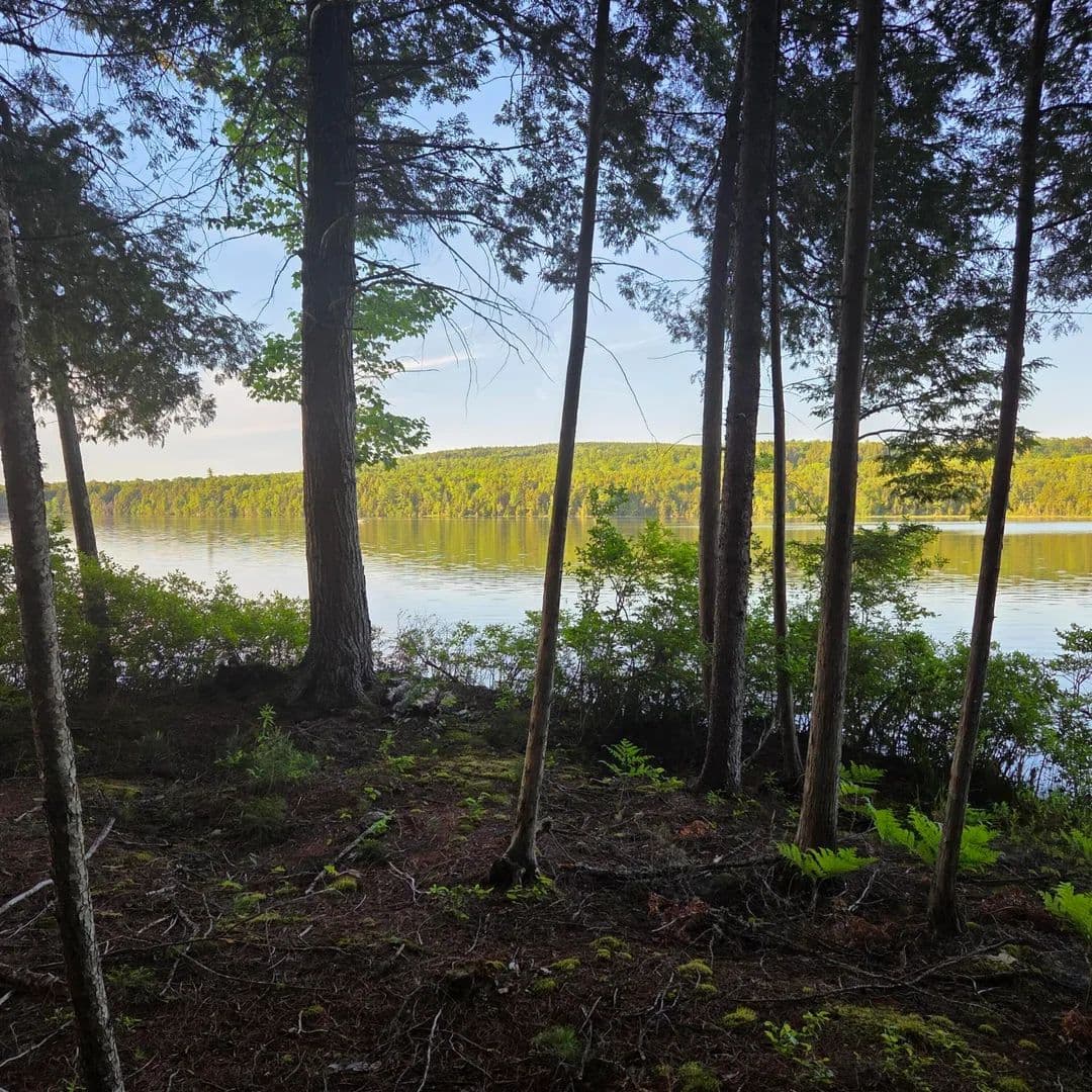2.3 Acres of Land for Sale in Lincoln, Maine - Lincoln, Maine, 04457