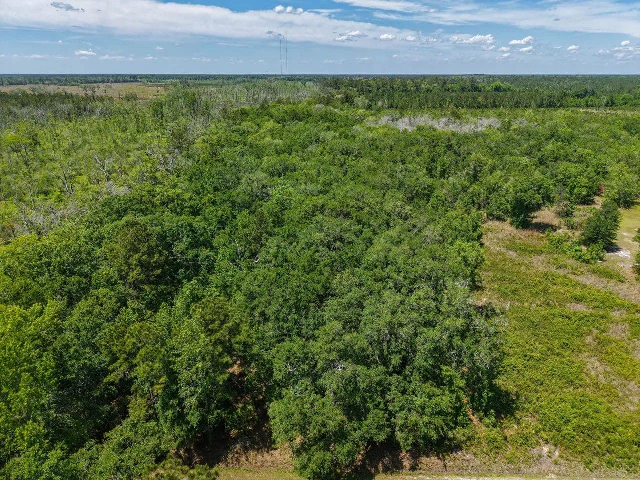 3 +/- Ac Land for Sale in Camden County, GA - Kingsland, Georgia, 31548