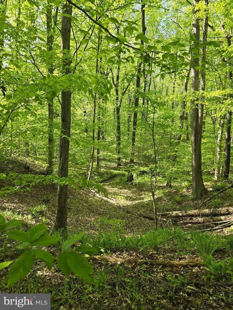 Property from OLD HERALD HARBOR RD ROAD - KW