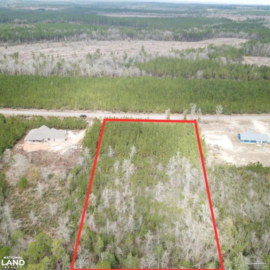 Wooded Homesite in Chumuckla - Jay, Florida, 32565