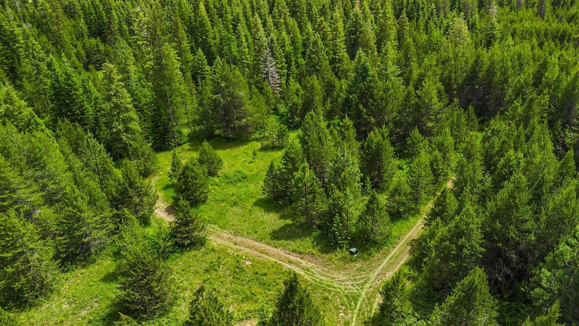 Property from 10XXX N Whispering Pines Ln - KW - Elk, Washington, 99009