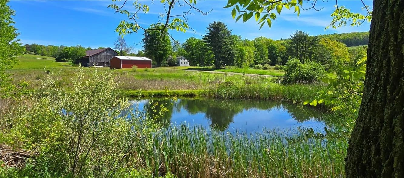 82.05 Acres of Land for Sale in Horseheads, New York - Horseheads, New York, 14845