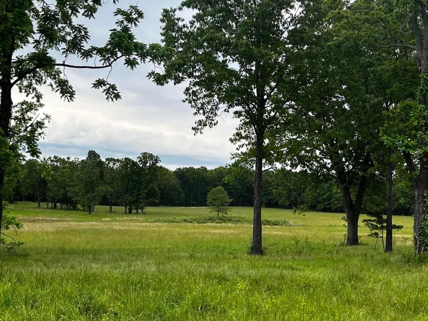 43 Acres of Land for Sale in West Plains, MO - West Plains, Missouri, 65775