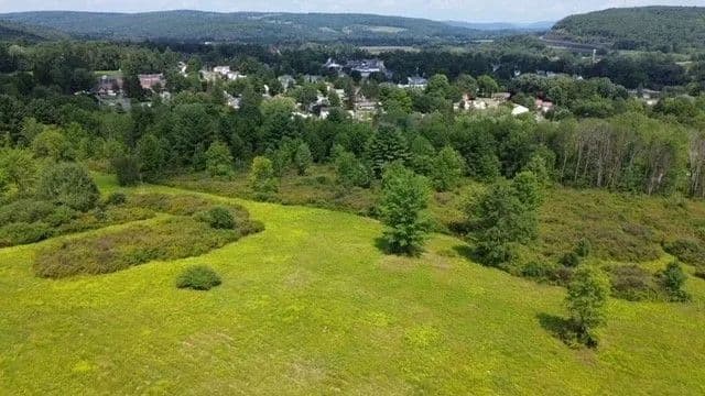 Land -Single Family Acreage in Bainbridge