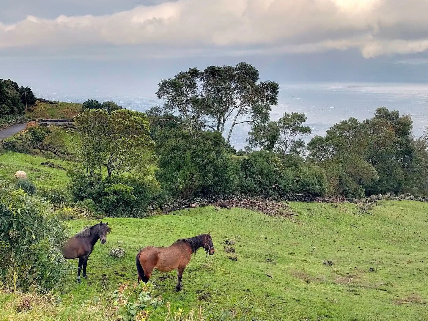 Vacant Land in Lajes do Pico - land for sale