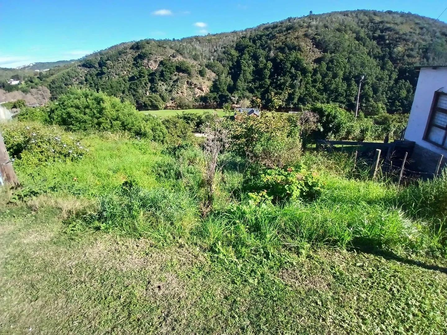 505 Acres of Land for Sale in Groot Brakrivier, Western Cape - land for sale