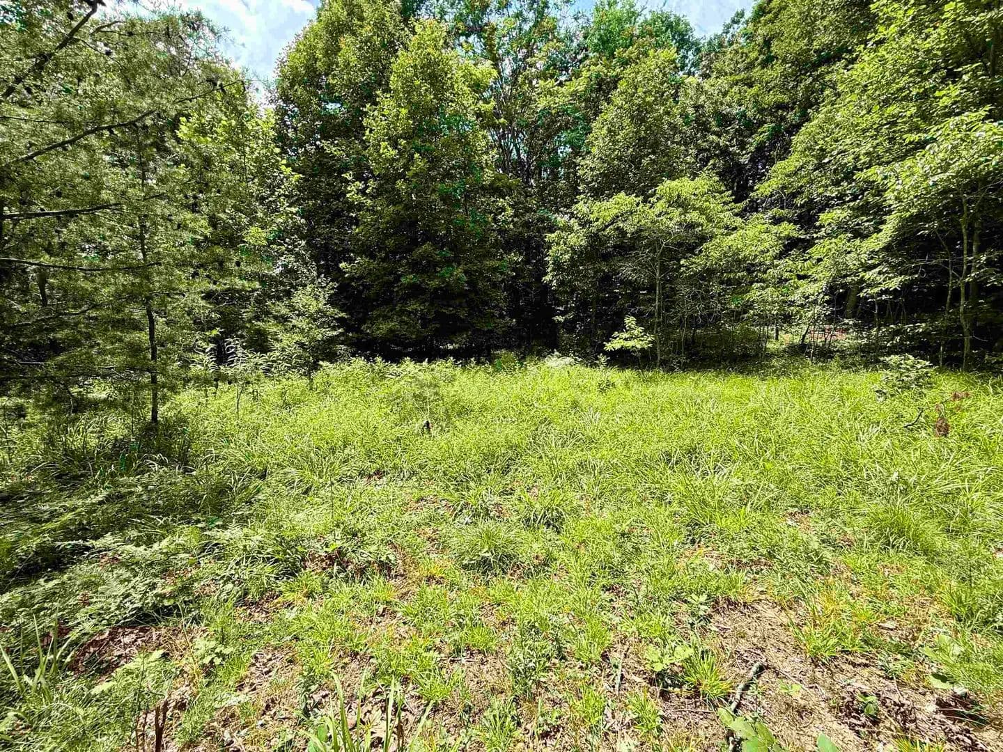 2.21 Acres of Land for Sale in Flatwoods, Kentucky - land for sale