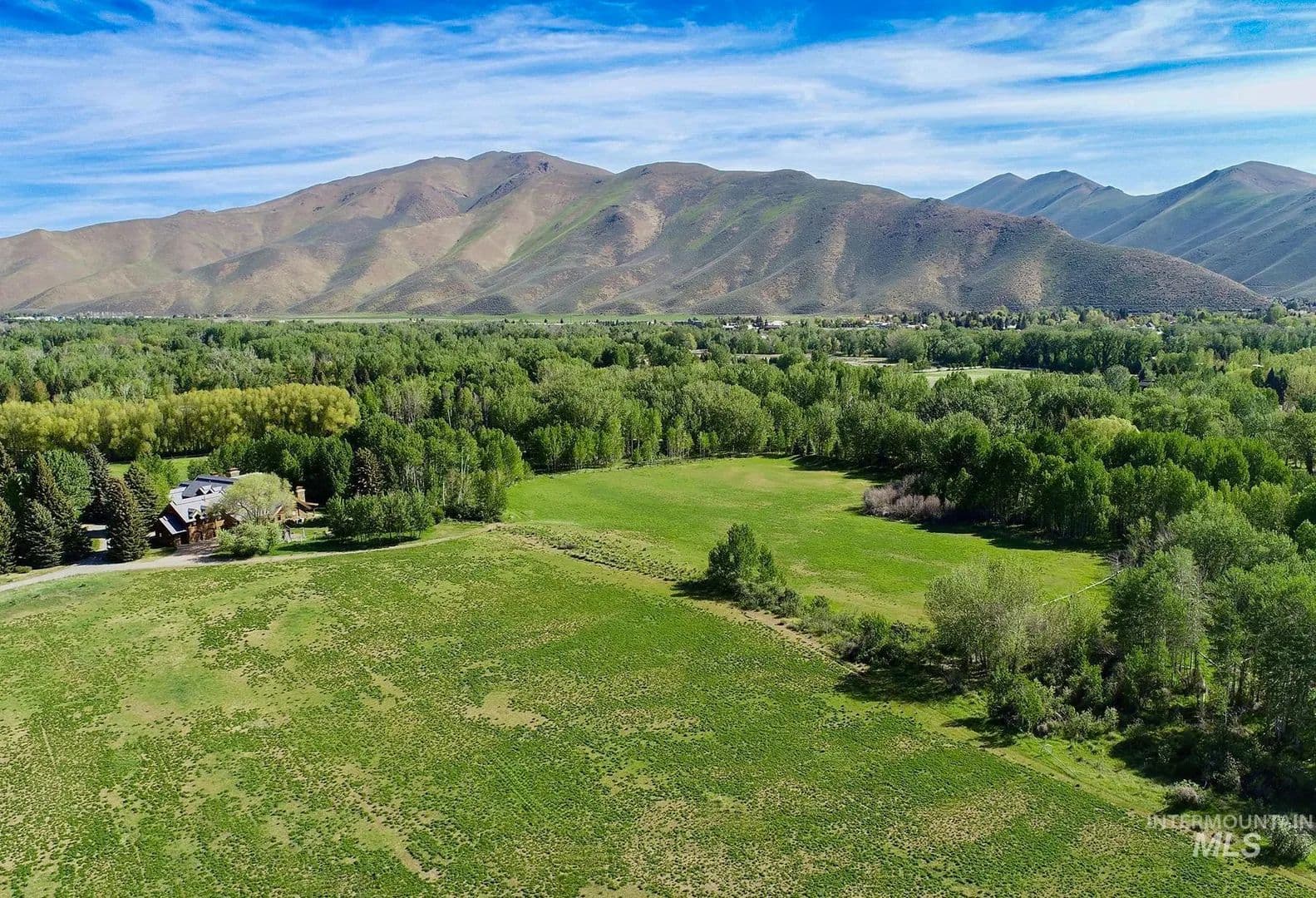 60.12 Acres of Land for Sale in Bellevue, ID - land for sale