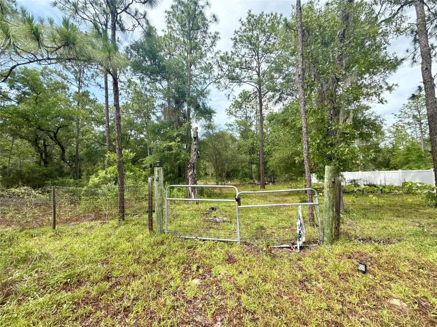 Property from TBD NE 3RD PLACE - KW - Williston, Florida, 32696