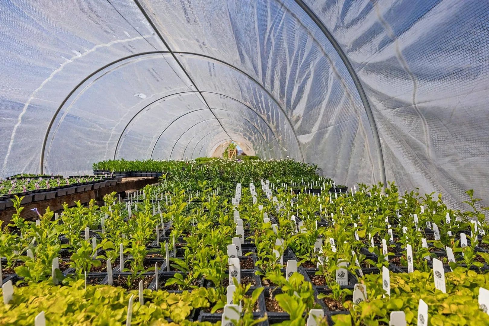 Valley Grown Nursery - land for sale
