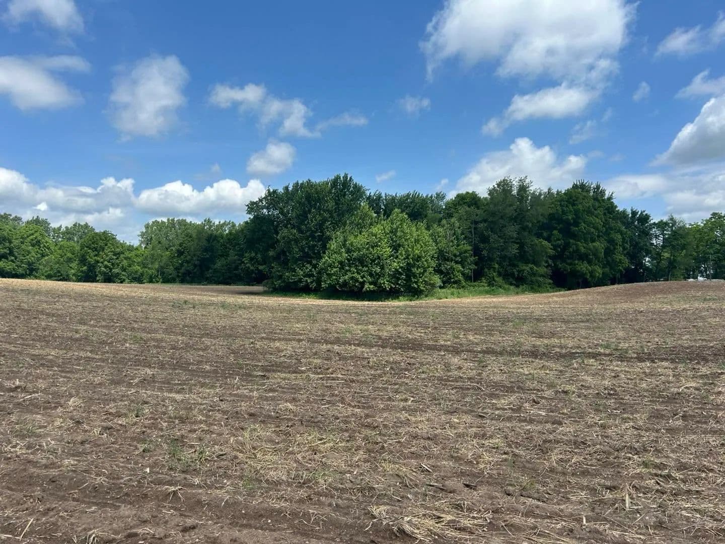 Property from 1750 Pierce Road - KW - Quincy, Michigan, 49082