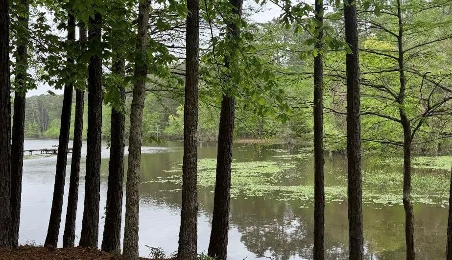 0.83 Acres of Land for Sale in Hemphill, TX - Hemphill, Texas, 75948