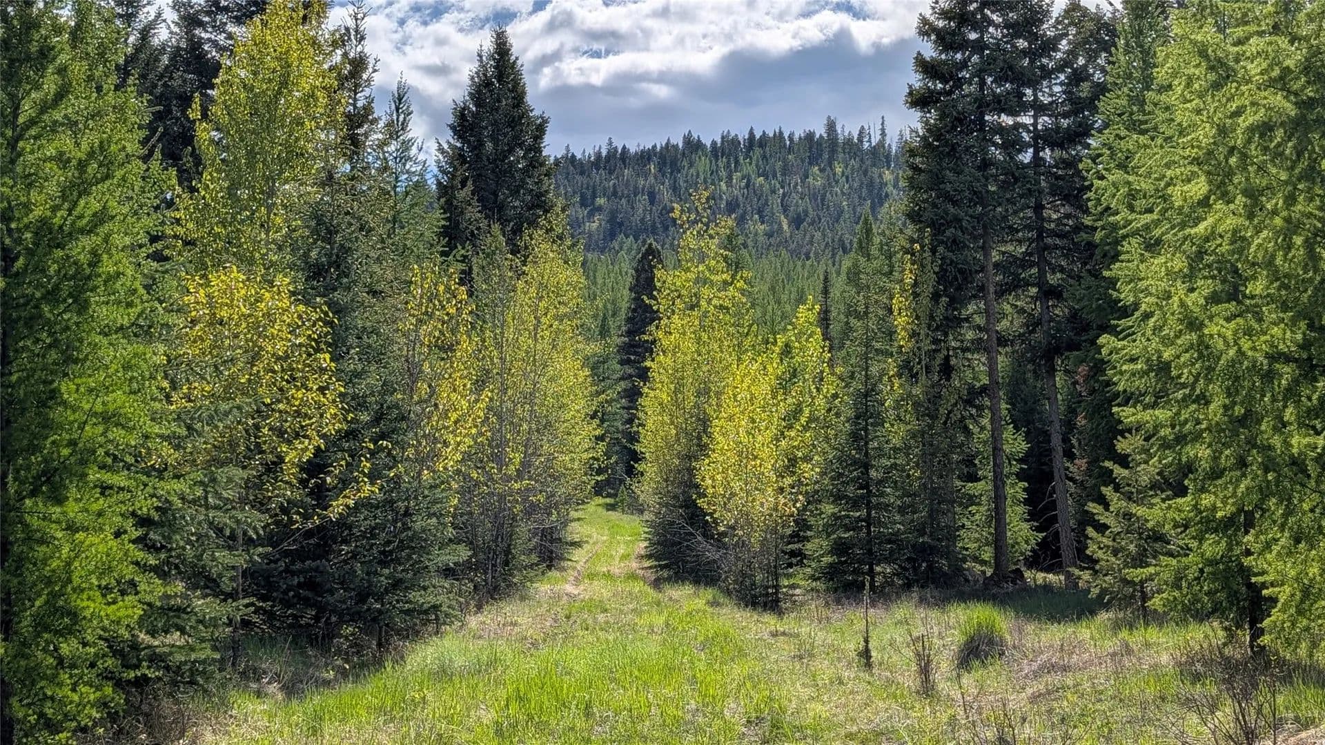 Property from 161 Bernard Creek Road - KW - Kila, Montana, 59920