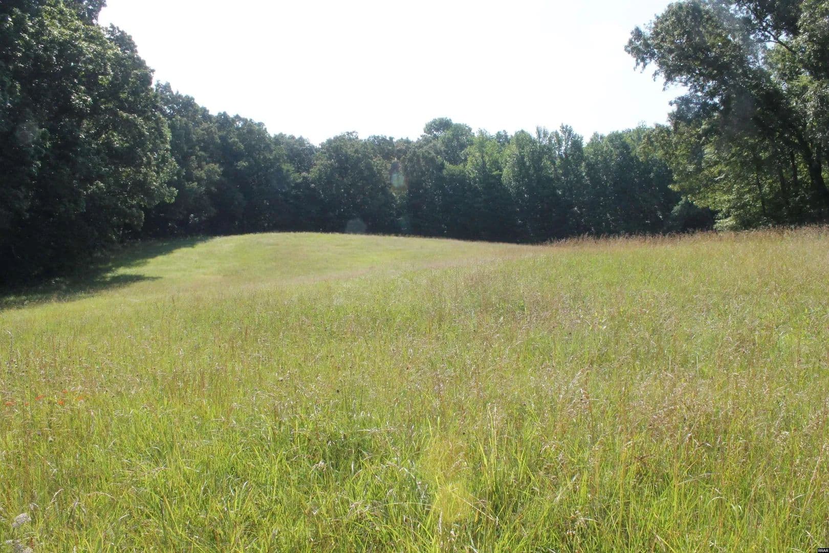 Property from 0 Palmersville Highway 89 - KW - Palmersville, Tennessee, 38241