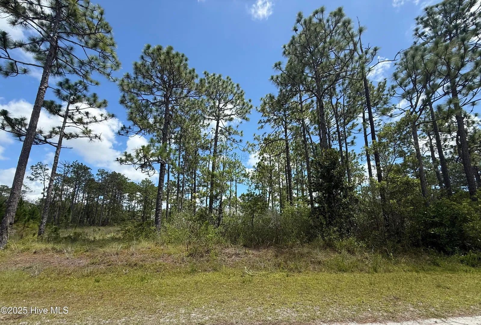 Vacant Land in Boiling Spring Lakes - Boiling Spring Lakes, North Carolina, 28461