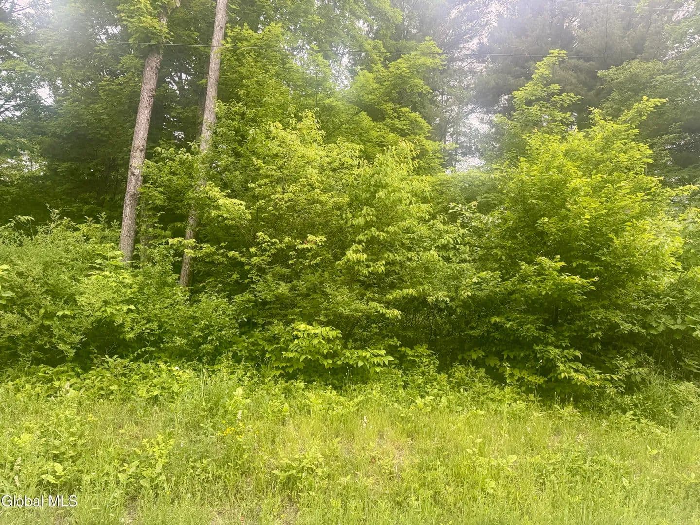 Property from L2 Reynolds Road - KW - Duanesburg, New York, 12137