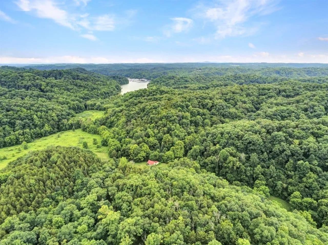 4.5 Acres of Land for Sale in Burkesville, KY - land for sale