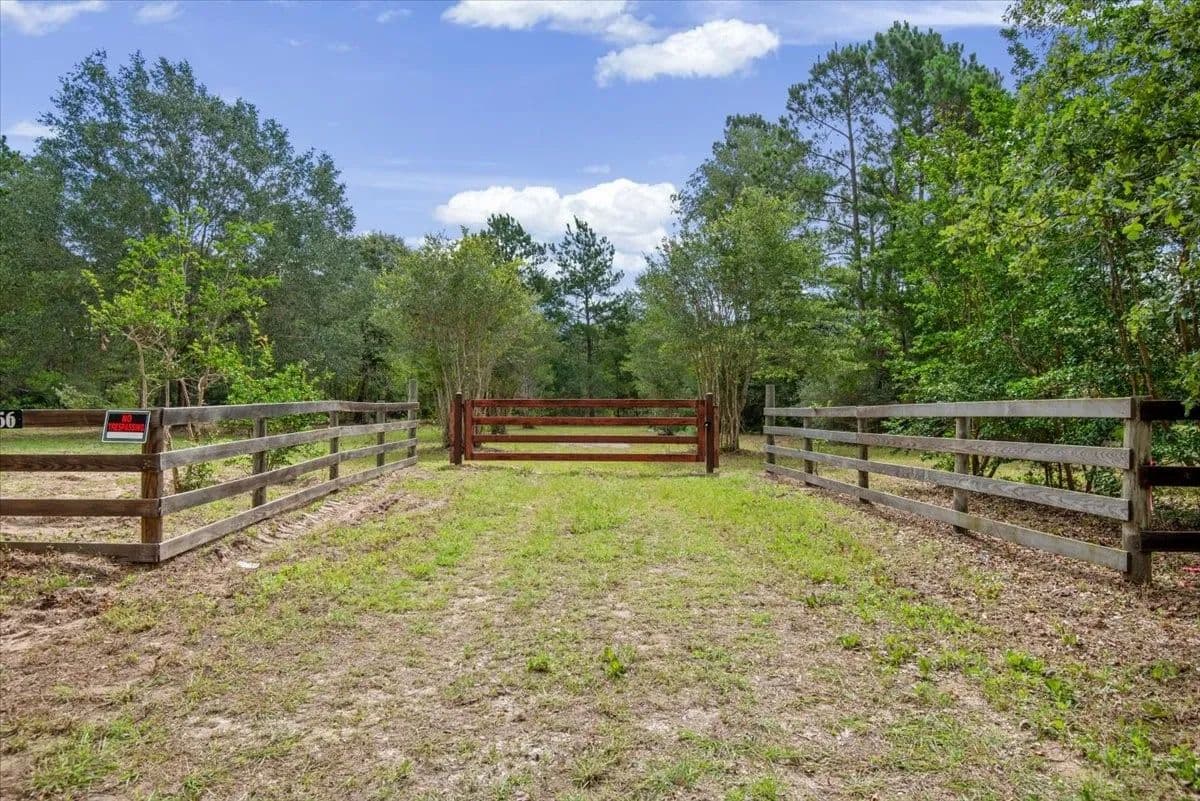 221.57 Acres of Land for Sale in Plantersville, Texas - Plantersville, Texas, 77363