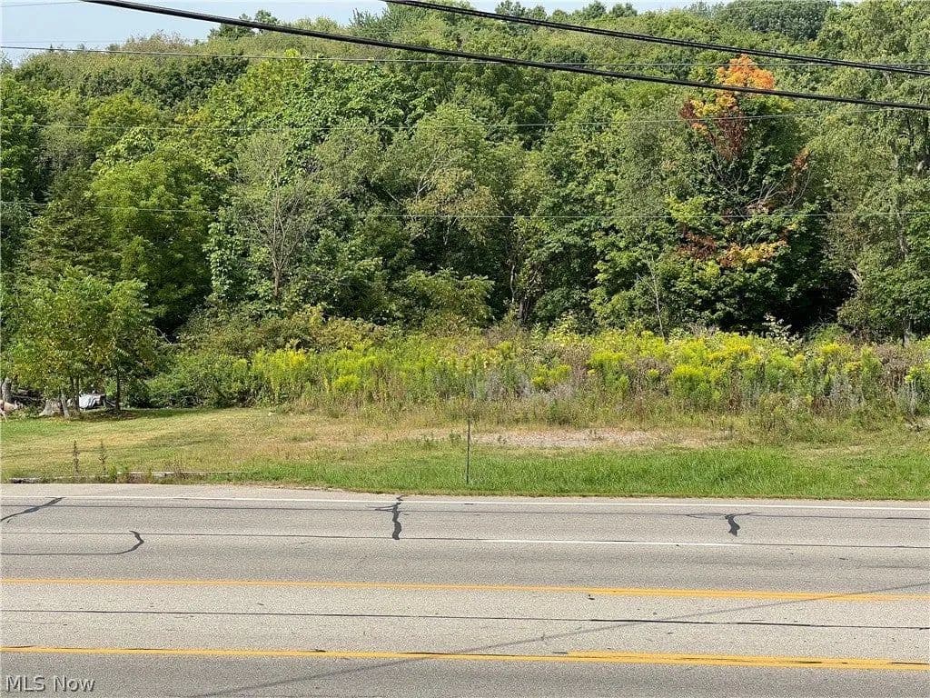 Lots & Land-Other in Youngstown - Youngstown, Ohio, 44505