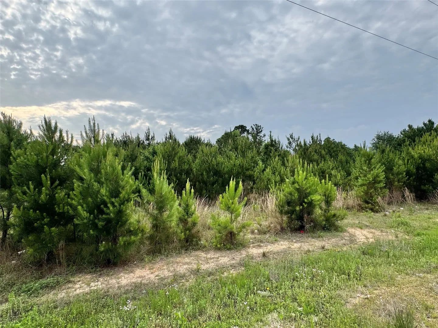 Property from 576 County Road 3773 - KW - Cleveland, Texas, 77327