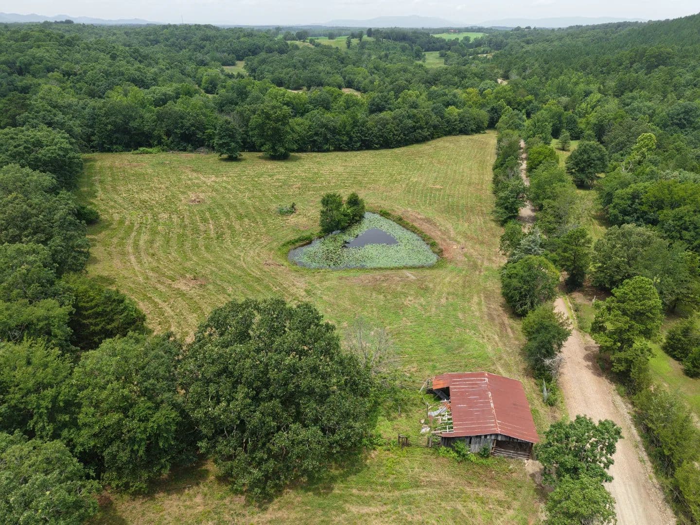 8 Acres on Polk Road 62 in Polk County, AR - Board Camp, Arkansas, 71953