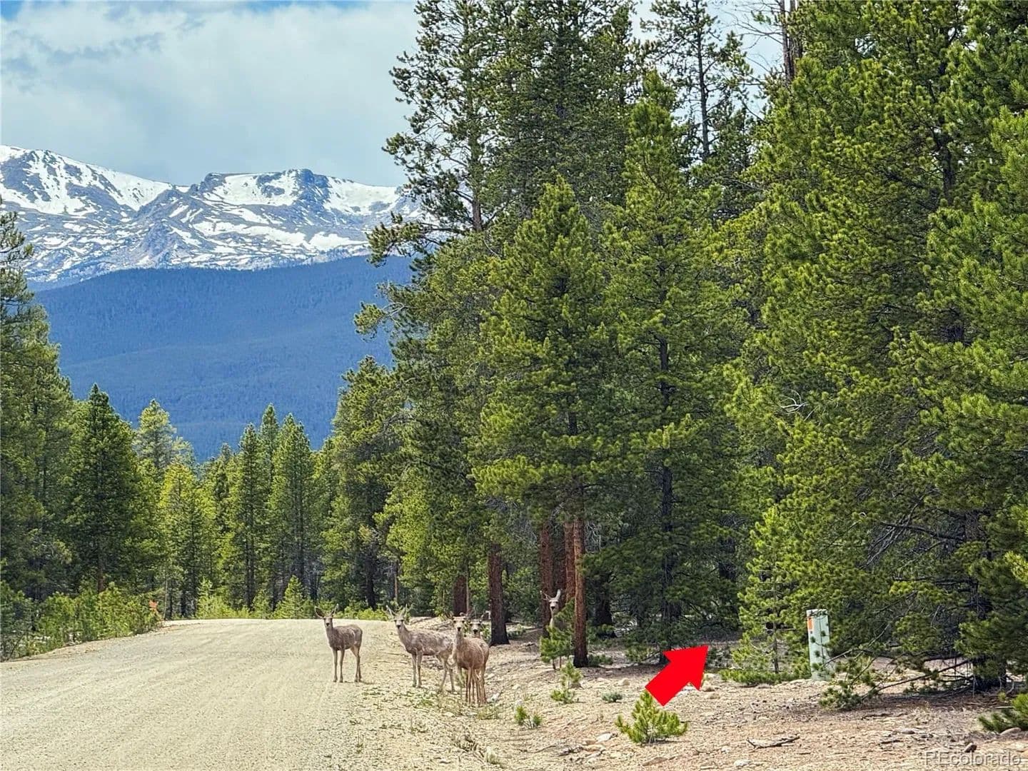 Property from 201 Snowshoe Rabbit Drive - KW - Leadville, Colorado, 80461