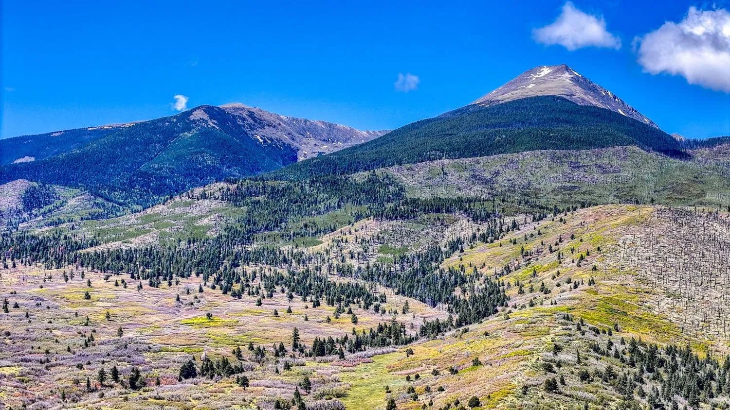 2269 Running Bear, Maytag Mountain Ranch - Cotopaxi, Colorado, 81223