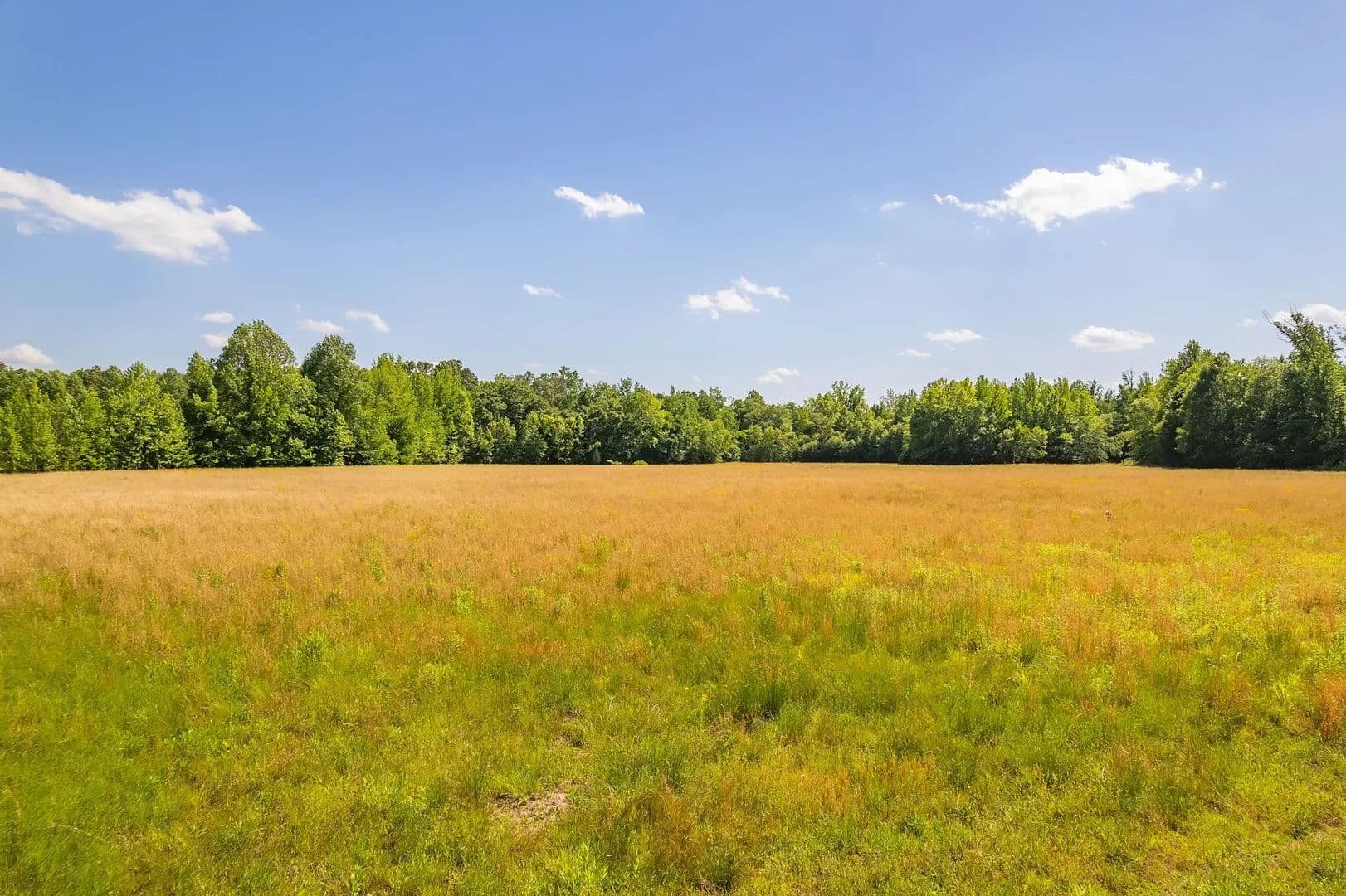 Property from 2800 Plainview Road - KW - Henderson, Tennessee, 38340