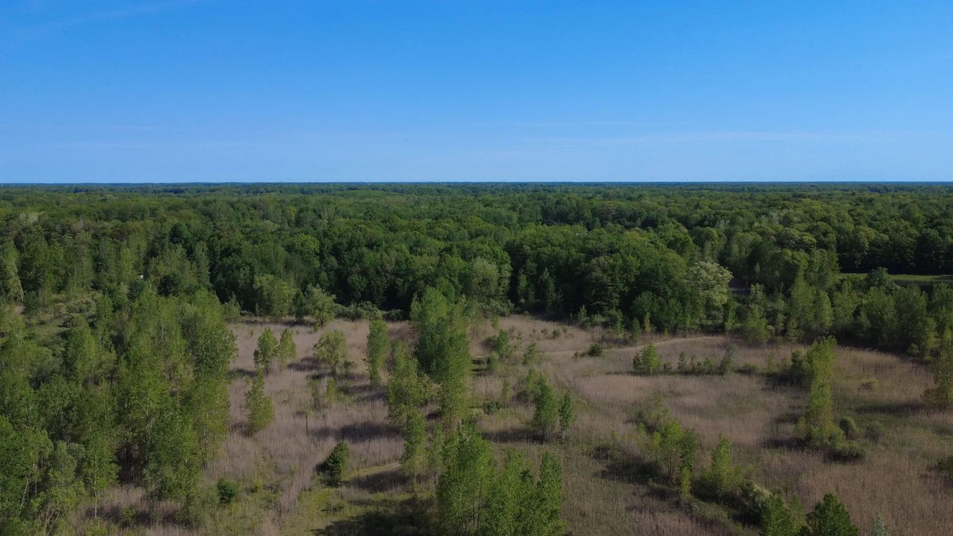 St. Clair County – 39 Acres - Columbus, Michigan, 48063