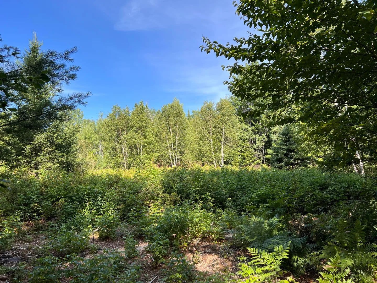 10.15 Acres of Land for Sale in Haynesville, ME - Haynesville, Maine, 04497