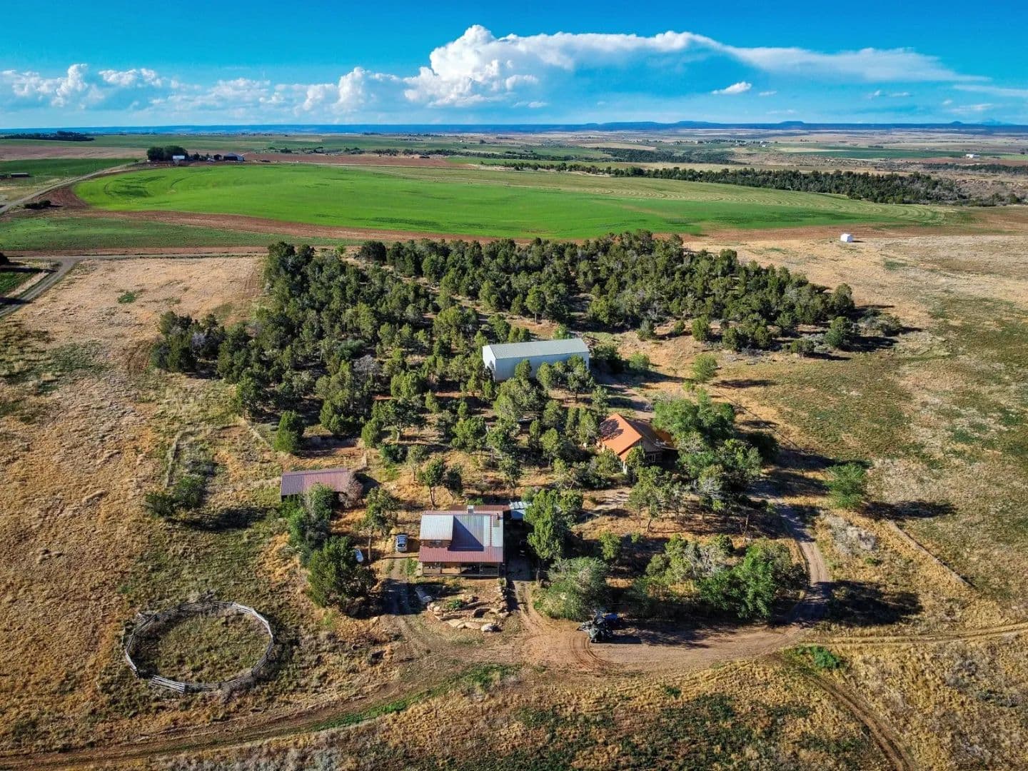 Cortez CO Irrigated Farm for Sale - Cortez, Colorado, 81335