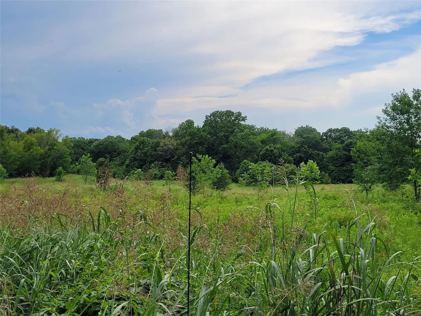 11.2 Acres of Land for Sale in Clarksville, Texas - Clarksville, Texas, 75426
