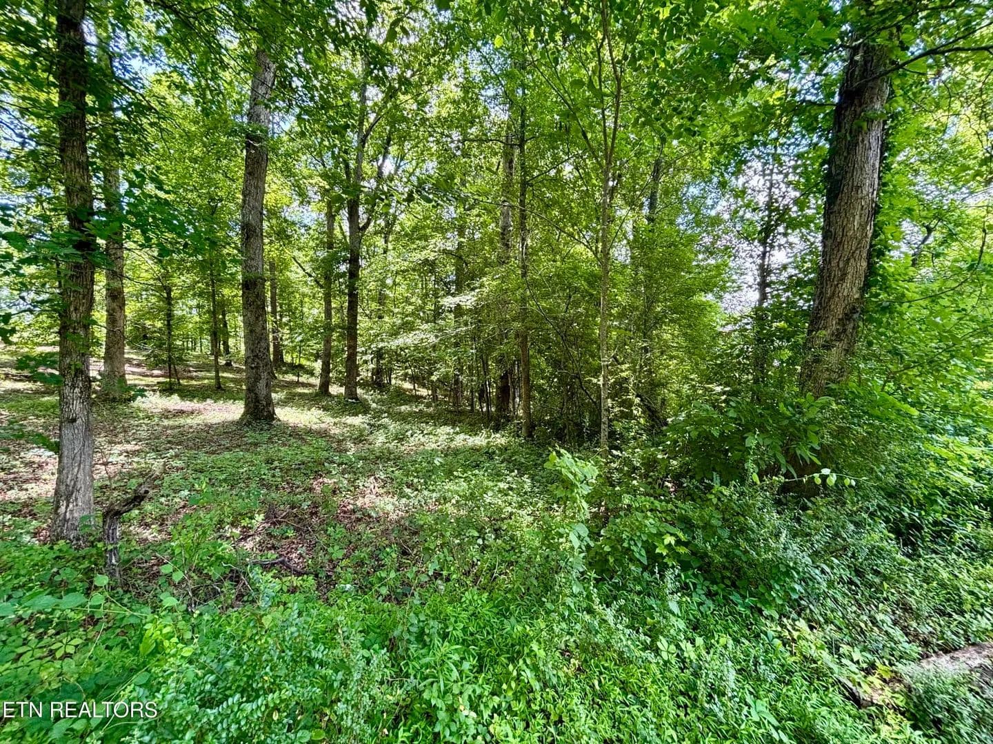 Property from 0 Rolling Acres Drive - KW - Rockwood, Tennessee, 37854