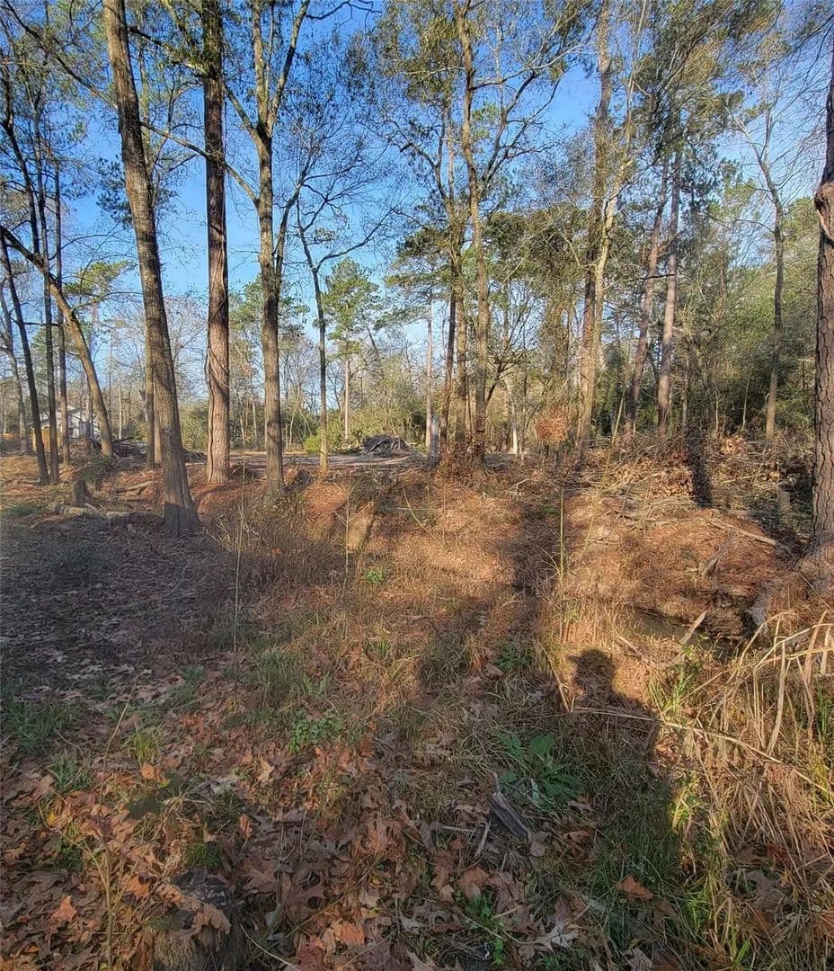Property from TBD Fenham Lane - KW - Humble, Texas, 77338