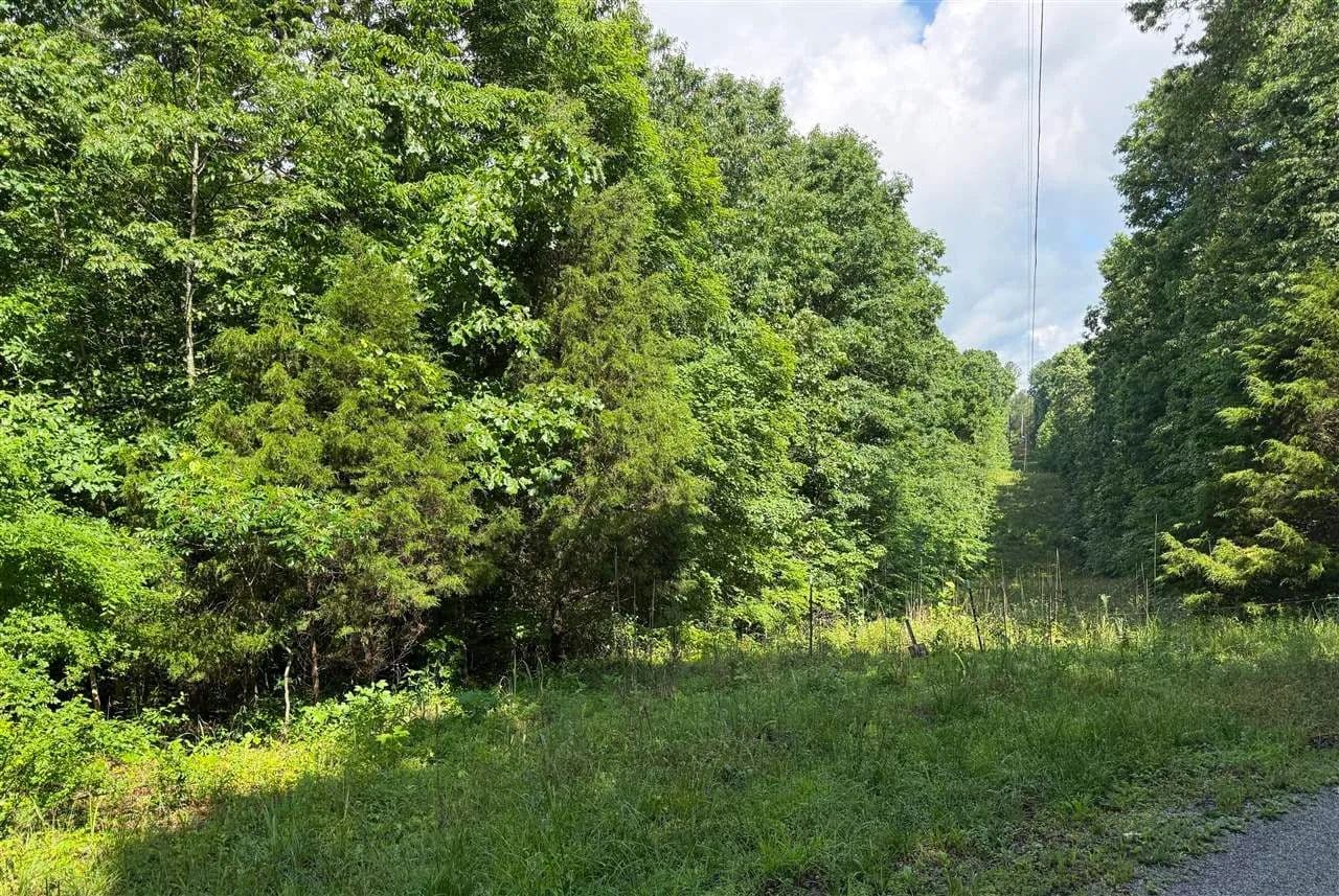70 Acres of Land for Sale in Beaver Dam, Kentucky - Beaver Dam, Kentucky, 42320