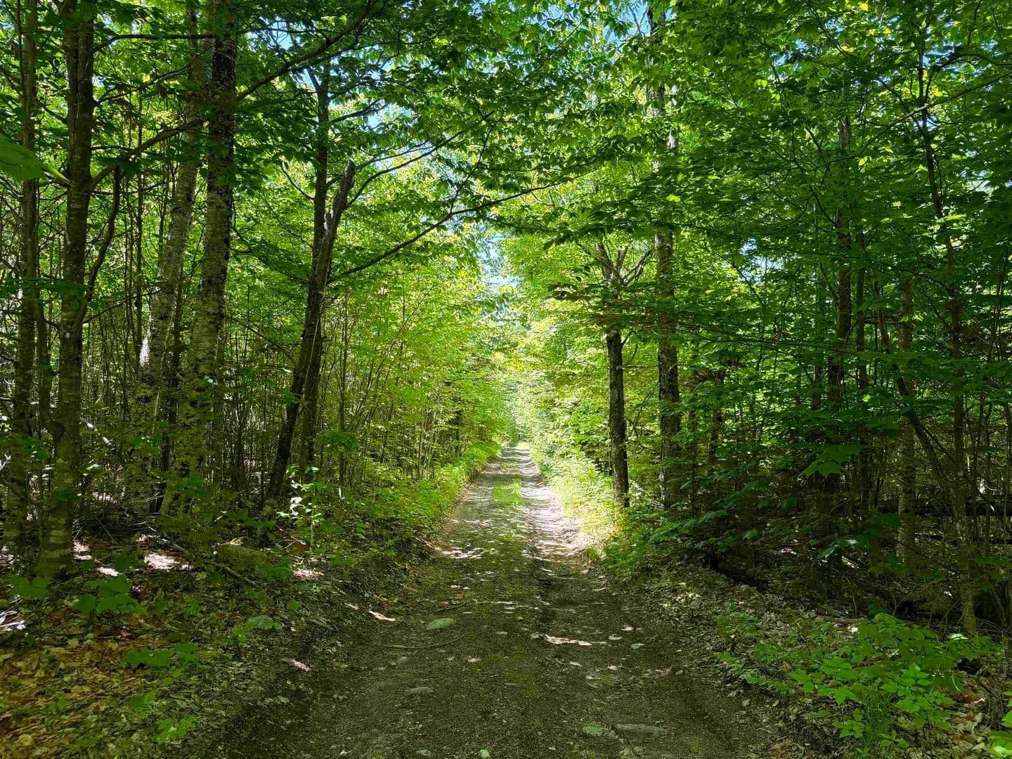 Property from 0 Georges Boulevard - KW - East Haven, Vermont, 5837