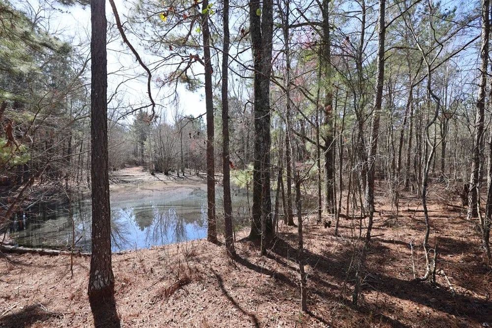 Hunting Retreat / Residential Develpment - Eastman, Georgia, 31023