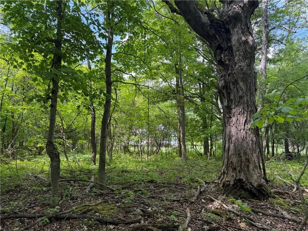 2.5 Acres of Land for Sale in Dansville, NY - Dansville, New York, 14437