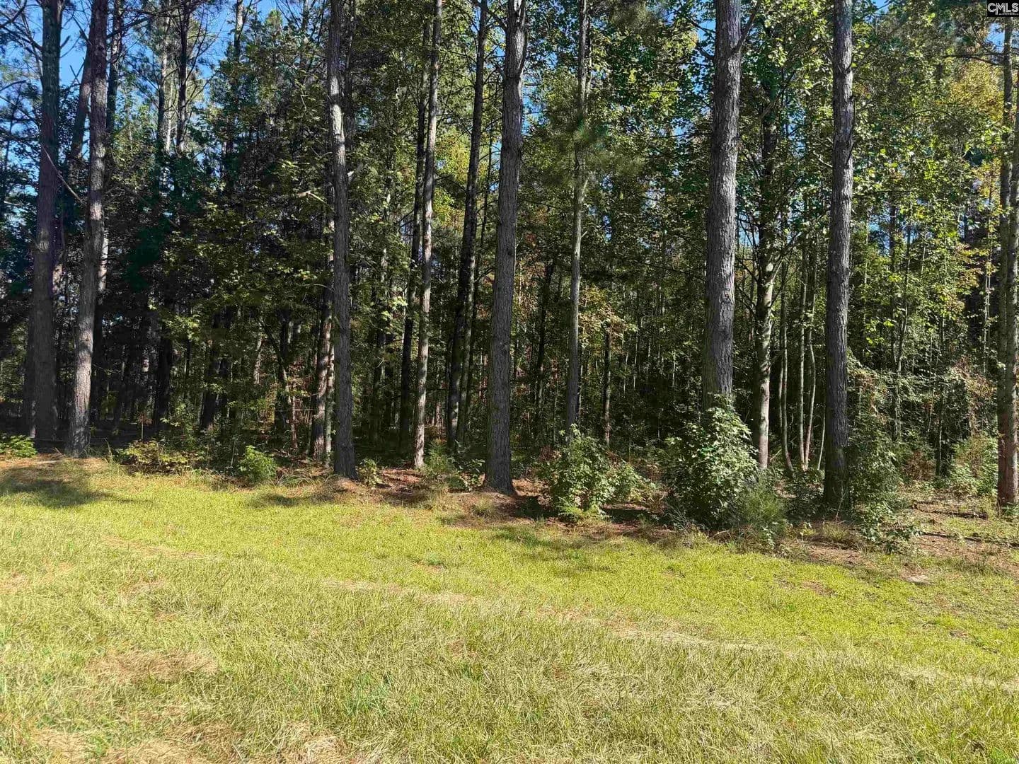 Vacant Land in Kinards - land for sale
