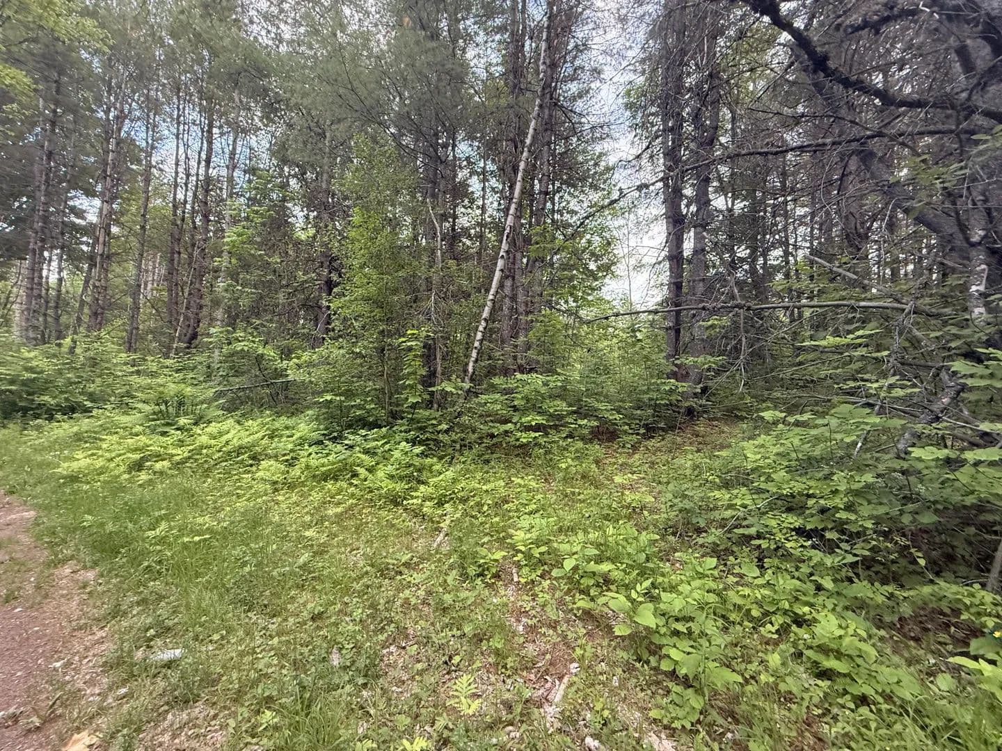 1.5 Acres of Land for Sale in Enfield, Maine - Enfield, Maine, 04493