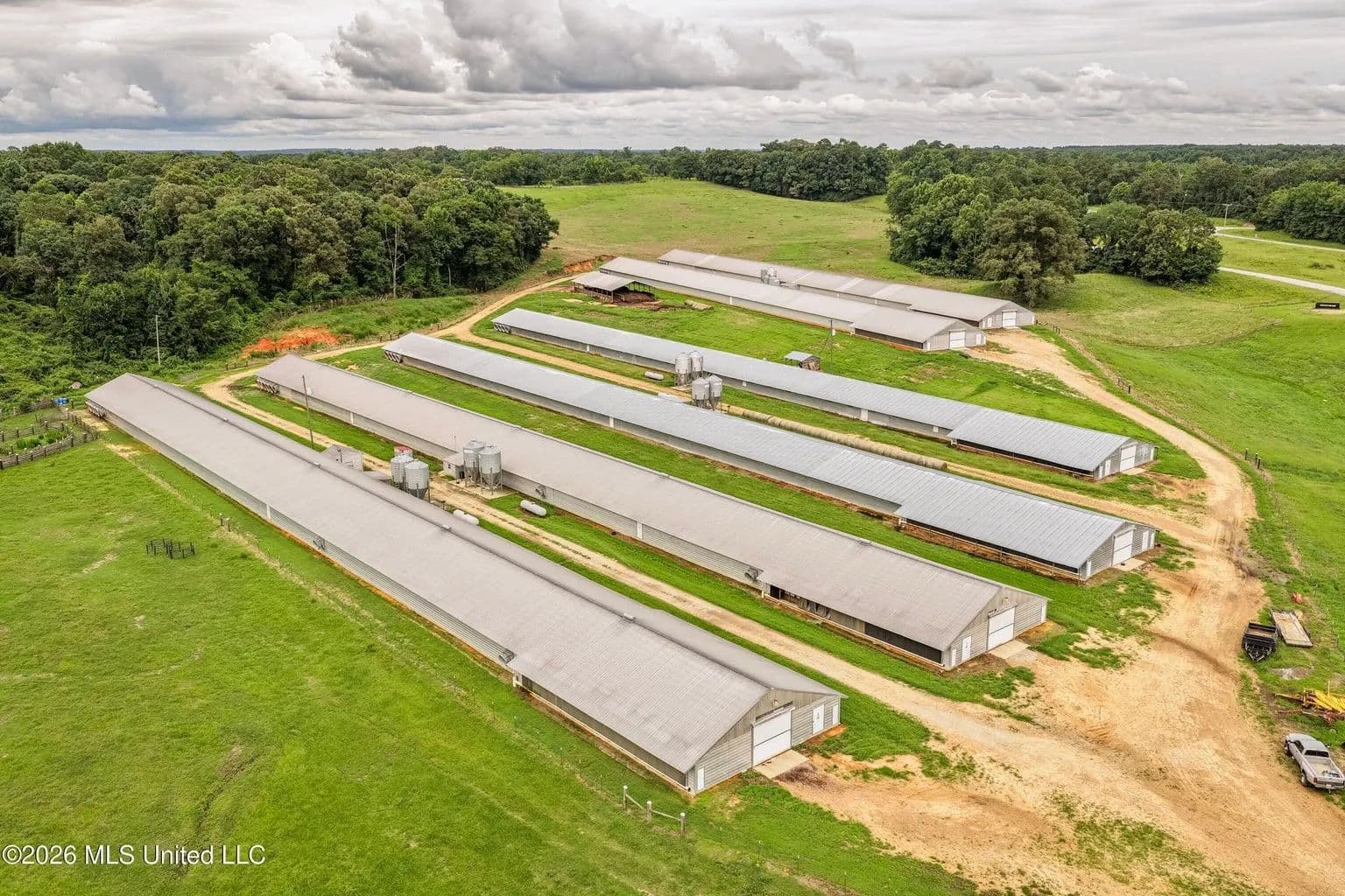6-House Poultry Farm for Sale in Lena, MS - Lena, Mississippi, 39094