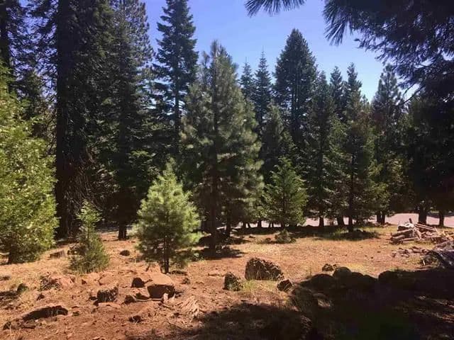 Vacant Land in Lake Almanor - Lake Almanor, California, 96137