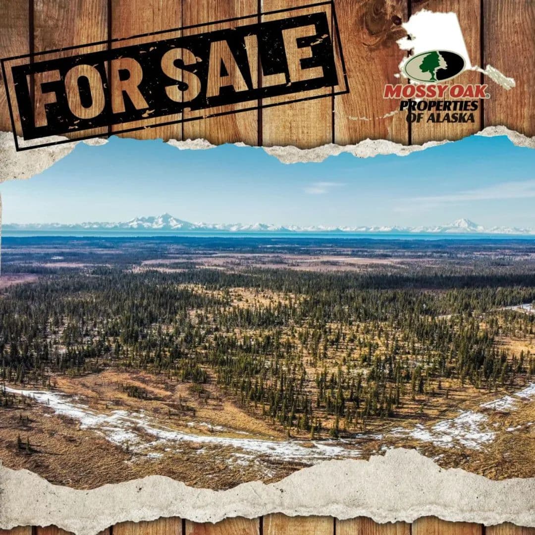 38 acres Handcart - Anchor Point, Alaska, 99556