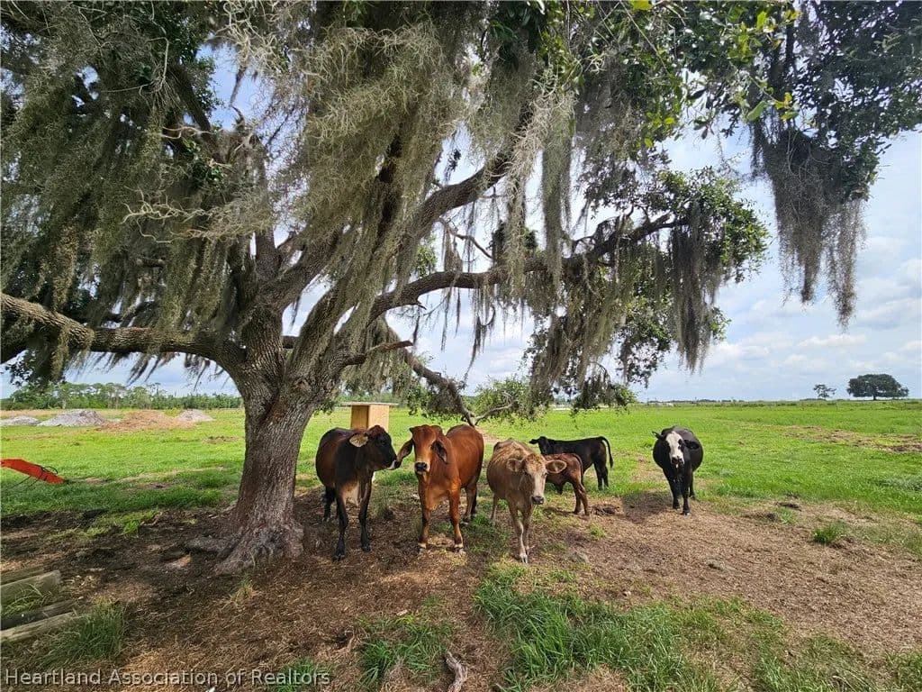 Property from 1013 Cattle Ranch Road - KW - Venus, Florida, 33960