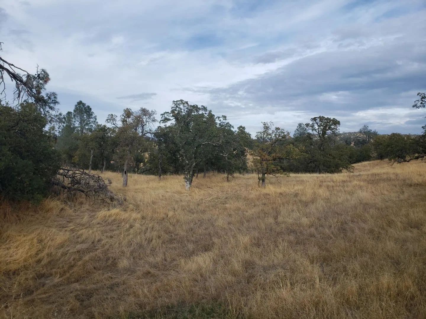 Property from 2275 Buena Vista Drive - KW - La Grange, California, 95329