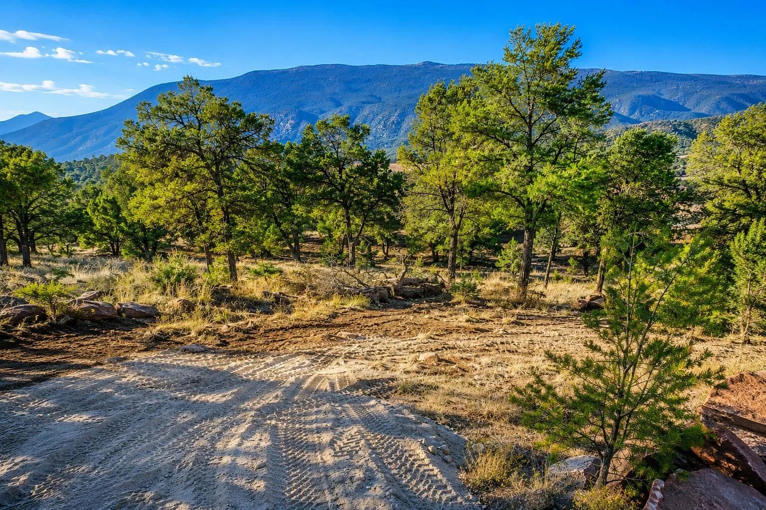 Property from 42 Calle Conejo Road - KW - Tijeras, New Mexico, 87059
