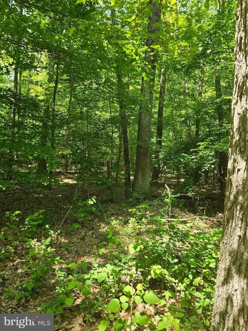 Property from OLD HERALD HARBOR RD ROAD - KW