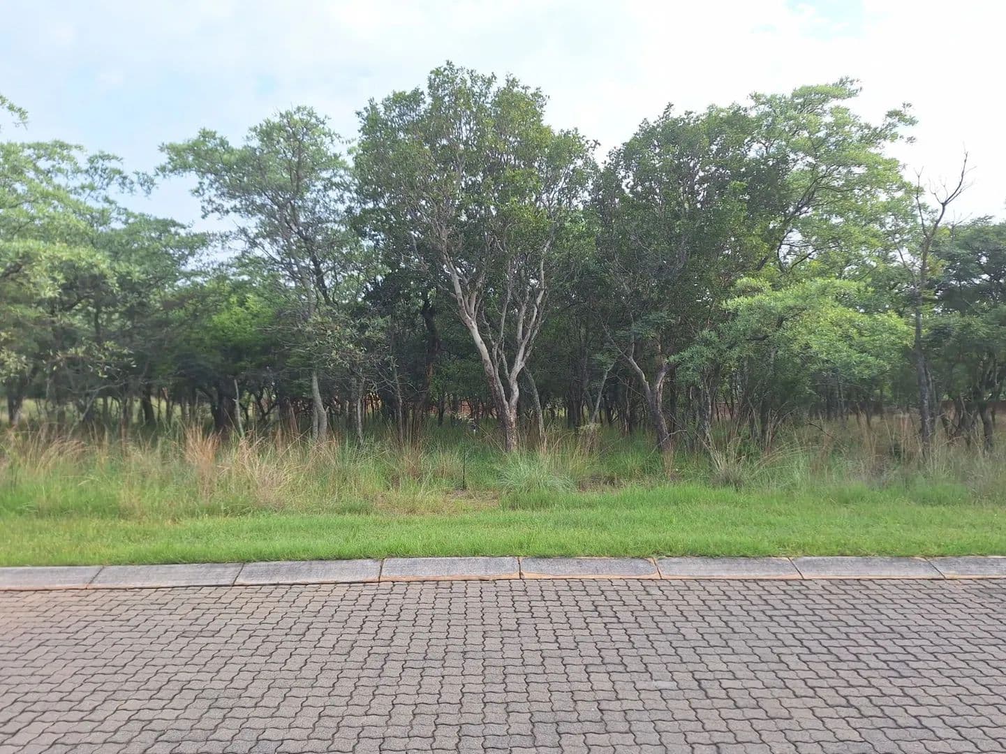 1691 Acres of Land for Sale in Modimolle, Limpopo - land for sale